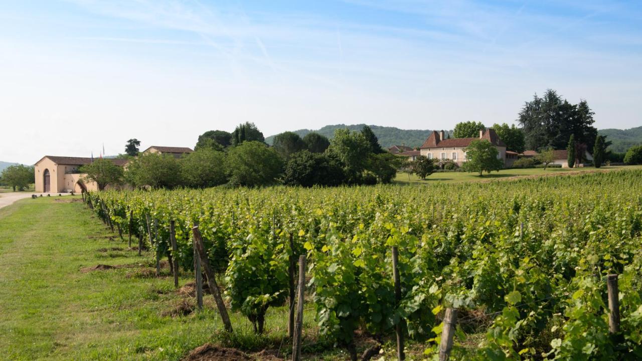 Chateau Gautoul Puy-l'Eveque Ngoại thất bức ảnh